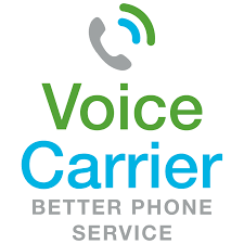 voice_carrier_img